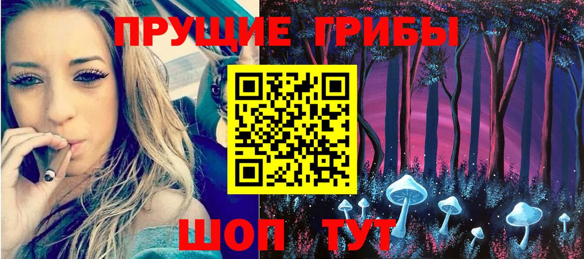 Псилоцибиновые грибы прущие грибы  Вход с VPN  Удомля 